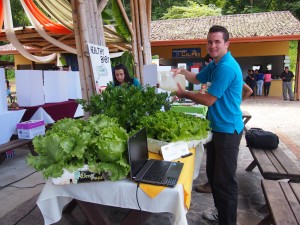 proyecto de hidroponia proyecto de hidroponia