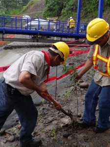 trabajos de reforestación en las inmediaciones del puente sobre el Río Izarco