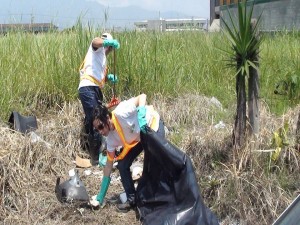 trabajadores en labores de limpieza de lote baldío
