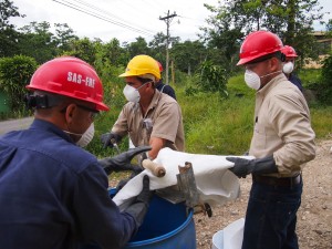 RECOLECCION DE PRODUCTO