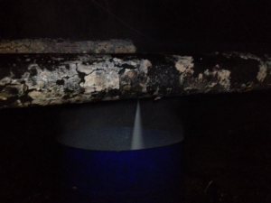 recolección del diésel