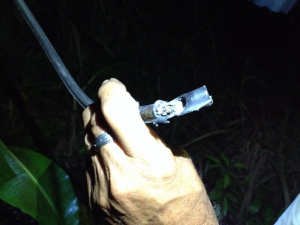 cable de alta tensión encontrado en el suelo cerca del poliducto