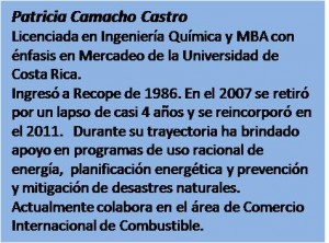 Atestados Patricia Camacho Castro