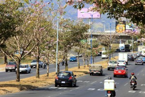 Carros Parque de la Paz