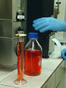 muestras de producto