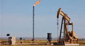 martillo-fuego-crudo