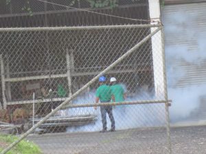 Campaña de fumigación