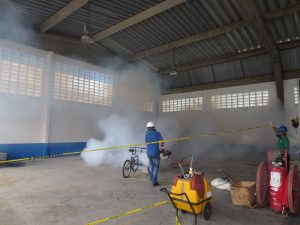 licha contra el dengue