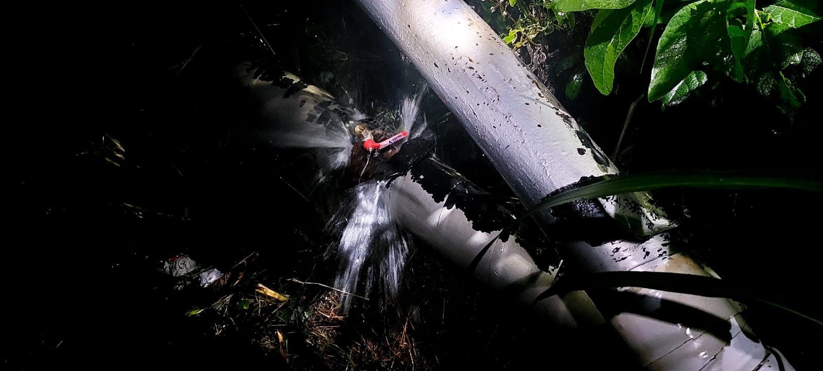 Toma ilegal en el Coyol de Alajuela