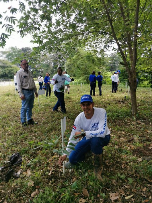 Trabajadores de Recope plantando árboles en Moín.