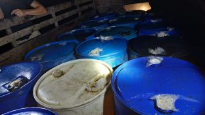 77 estañones con diésel fueron decomisados en Limón.