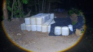 Decomiso San Mateo de Alajuela