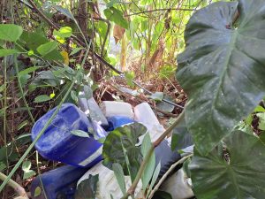 Caso de robo de combustible en Limón