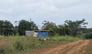 Terreno con una construcción en estado precario