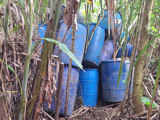 Un grupo de estañones se decomisó en un polígono de tiro